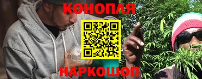 шишки Бузулук