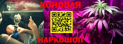 шишки Бузулук
