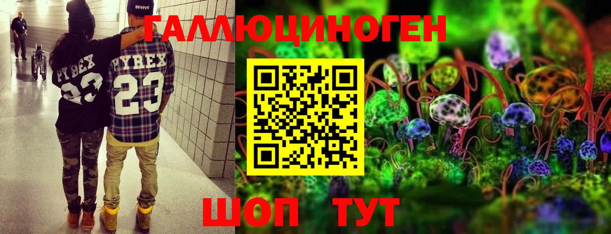 Галлюциногенные грибы прущие грибы Скопин