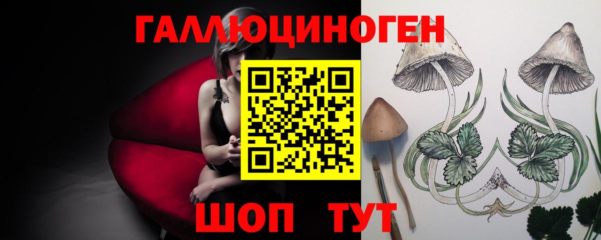 Галлюциногенные грибы прущие грибы  Псилоцибиновые грибы Psilocybine cubensis  Вход с VPN  Скопин 